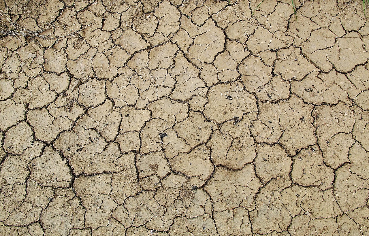 地面をアートに変える仲間求む！